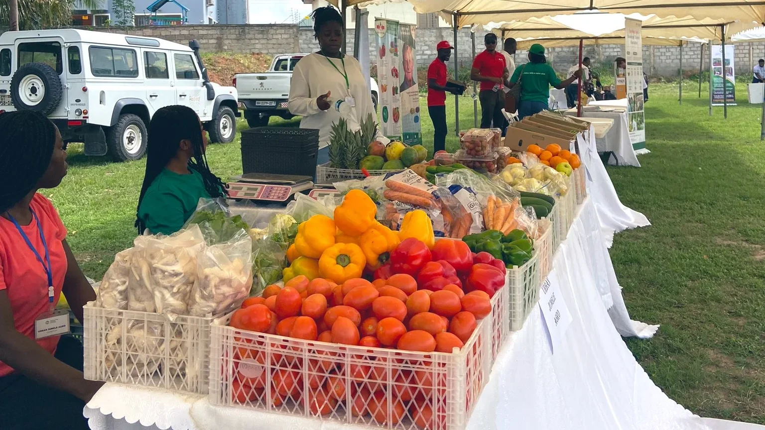 mini-fruit-and-veg-fair-ii - Accra Daily Post Mini Fruit and Vegetable Fair at Adenta Community Garden